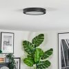 Isela Deckenleuchte LED Schwarz, 1-flammig