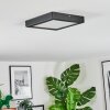Isela Deckenleuchte LED Schwarz, 1-flammig