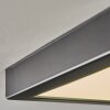 Isela Deckenleuchte LED Schwarz, 1-flammig