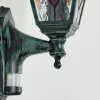 Naofe Außenwandleuchte Grün, Schwarz, 1-flammig, Bewegungsmelder