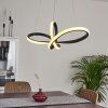 Ignal Hängeleuchte LED Schwarz, 1-flammig