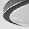 Onara Deckenleuchte LED Schwarz, Weiß, 1-flammig