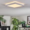 Xarel Deckenleuchte LED Weiß, 1-flammig