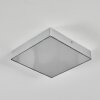 Esmar Deckenleuchte LED Silber, 1-flammig