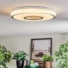 Loron Deckenleuchte LED Silber, Weiß, 1-flammig