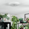 Luvan Deckenleuchte LED Weiß, 1-flammig