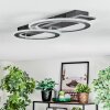 Lidor Deckenleuchte LED Schwarz, Silber, 1-flammig