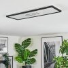 Simonstorp Deckenleuchte LED Schwarz, Weiß, 1-flammig