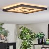 Ilyan Deckenleuchte LED Schwarz, 1-flammig