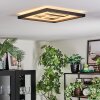 Ilyan Deckenleuchte LED Schwarz, 1-flammig