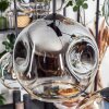 Ripoll Hängeleuchte Glas 15 cm, 20 cm, 25 cm Bernsteinfarben, Klar, Rauchfarben, 6-flammig