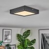 Isela Deckenleuchte LED Schwarz, 1-flammig