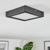 Isela Deckenleuchte LED Schwarz, 1-flammig
