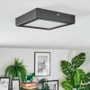Isela Deckenleuchte LED Schwarz, 1-flammig