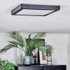Isela Deckenleuchte LED Schwarz, 1-flammig
