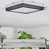Isela Deckenleuchte LED Schwarz, 1-flammig