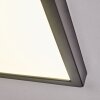 Isela Deckenleuchte LED Schwarz, 1-flammig