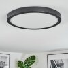 Isela Deckenleuchte LED Schwarz, 1-flammig