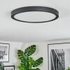 Isela Deckenleuchte LED Schwarz, 1-flammig
