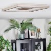 Ilion Deckenleuchte LED Nickel-Matt, Weiß, 1-flammig