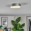 Elmar Deckenleuchte LED Silber, 1-flammig