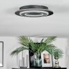 Lidor Deckenleuchte LED Schwarz, 1-flammig