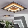 Lidor Deckenleuchte LED Schwarz, 1-flammig