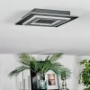 Lidor Deckenleuchte LED Schwarz, 1-flammig