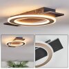 Lidor Deckenleuchte LED Schwarz, 1-flammig
