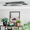 Lidor Deckenleuchte LED Schwarz, 1-flammig