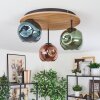 Ripoll Deckenleuchte Glas 15 cm Naturfarben, Schwarz, 3-flammig