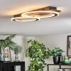 Lidor Deckenleuchte LED Schwarz, 1-flammig