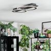 Lidor Deckenleuchte LED Schwarz, 1-flammig