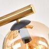 Ripoll Deckenleuchte Glas 15 cm Gold, Schwarz, 10-flammig