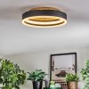 Guine Deckenleuchte LED Gold, Schwarz, 1-flammig