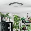 Salmi Deckenpanel LED Grau, Silber, 1-flammig