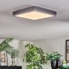 Salmi Deckenpanel LED Grau, Silber, 1-flammig