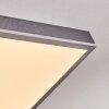 Salmi Deckenpanel LED Grau, Silber, 1-flammig