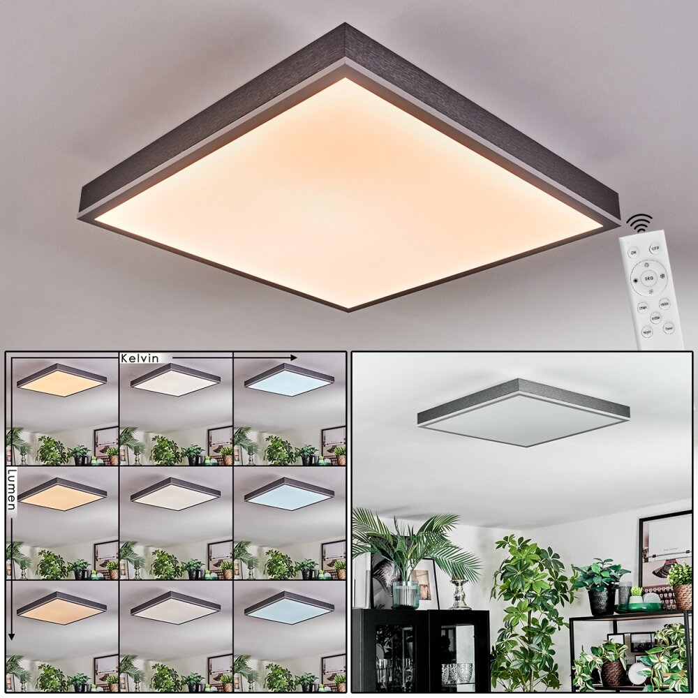 Salmi Deckenpanel LED Grau, Silber, 1-flammig, Fernbedienung main product photo