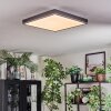 Salmi Deckenpanel LED Grau, Silber, 1-flammig, Fernbedienung