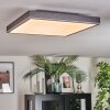 Salmi Deckenpanel LED Grau, Silber, 1-flammig, Fernbedienung