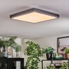 Salmi Deckenpanel LED Grau, Silber, 1-flammig, Fernbedienung