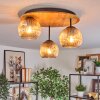 Ripoll Deckenleuchte Glas 15 cm Naturfarben, Schwarz, 3-flammig