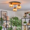Ripoll Deckenleuchte Glas 15 cm Naturfarben, Schwarz, 3-flammig