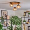 Ripoll Deckenleuchte Glas 15 cm Naturfarben, Schwarz, 3-flammig