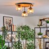 Ripoll Deckenleuchte Glas 15 cm Naturfarben, Schwarz, 3-flammig