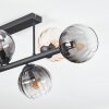 Koyoto Deckenleuchte Glas 15 cm Bernsteinfarben, Klar, Rauchfarben, 6-flammig