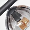 Koyoto Deckenleuchte Glas 15 cm Bernsteinfarben, Klar, Rauchfarben, 6-flammig