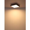 Globo Doro Deckenleuchte LED Grau, Silber, 1-flammig
