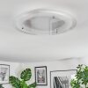 Ipres Deckenleuchte LED Silber, Weiß, 1-flammig